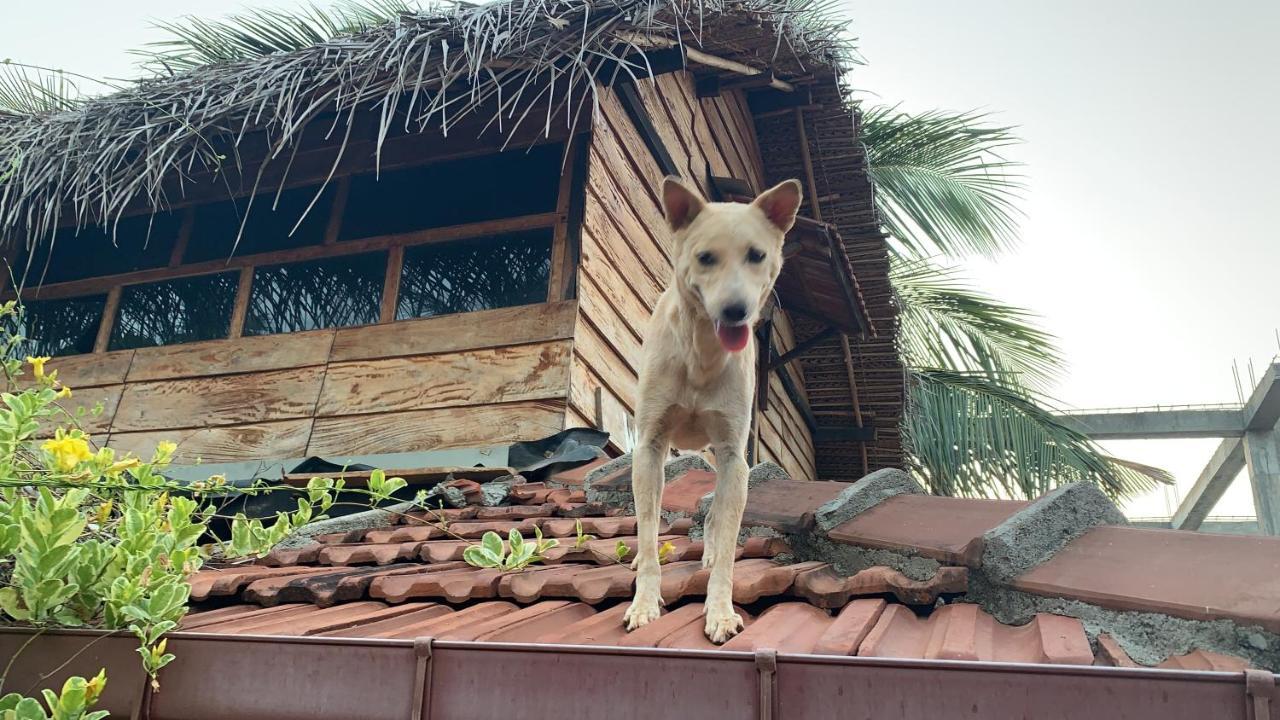 Wanderers Hostel Trincomalee Exteriör bild